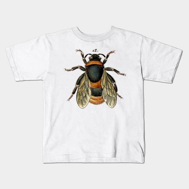 Vintage bee illustration Kids T-Shirt by SouthPrints